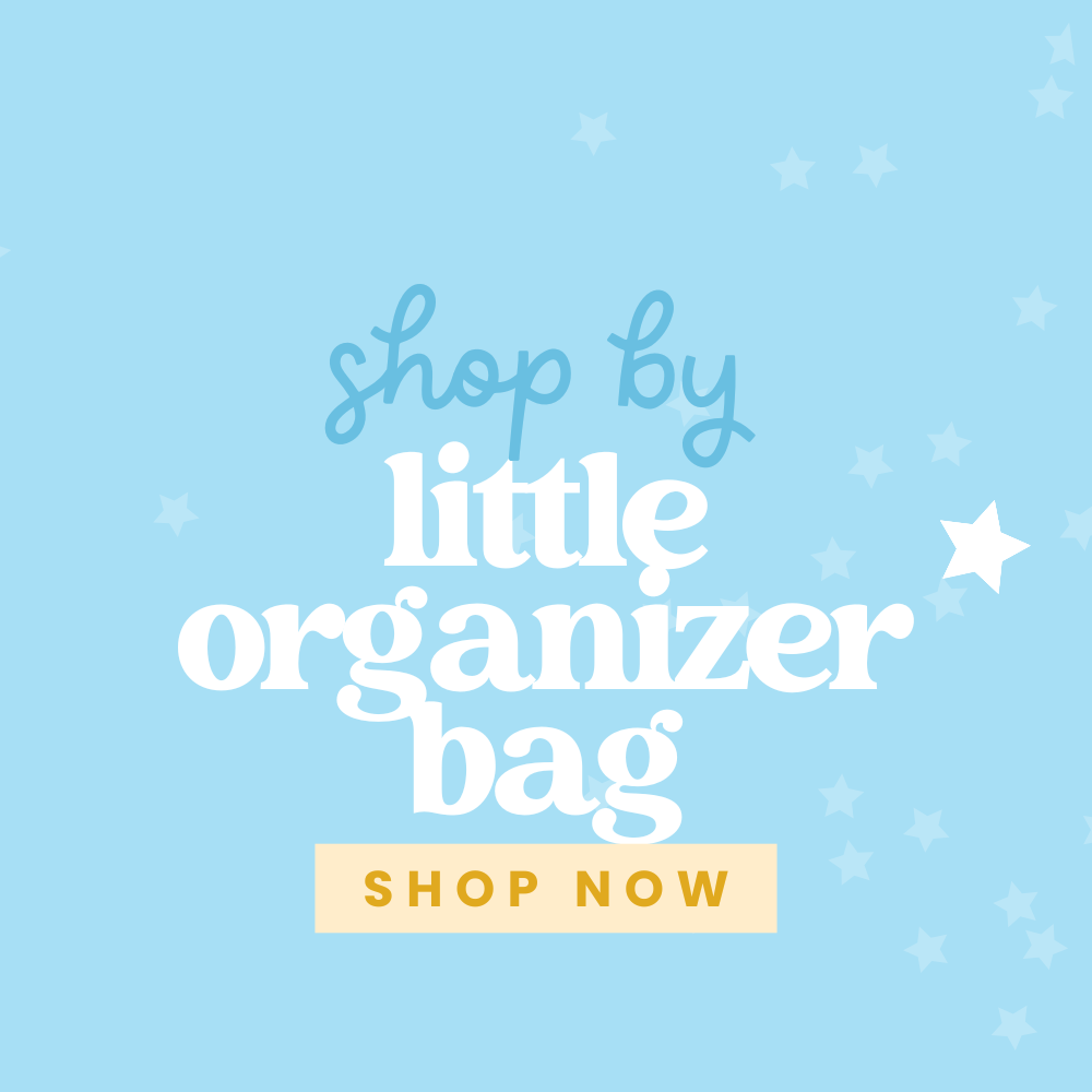 Little Organizer Bag